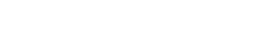 The WAVE logo - white transparent