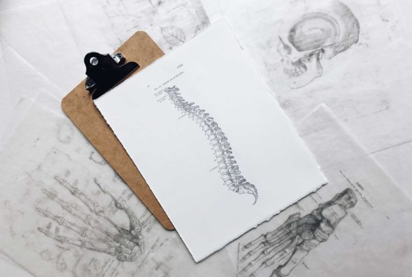 Sketch of spine representing chiropractic research